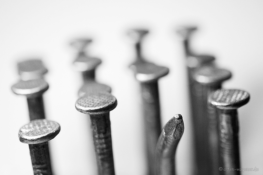 gleich und verschieden