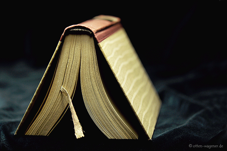 Gewächshaus der Phantasie