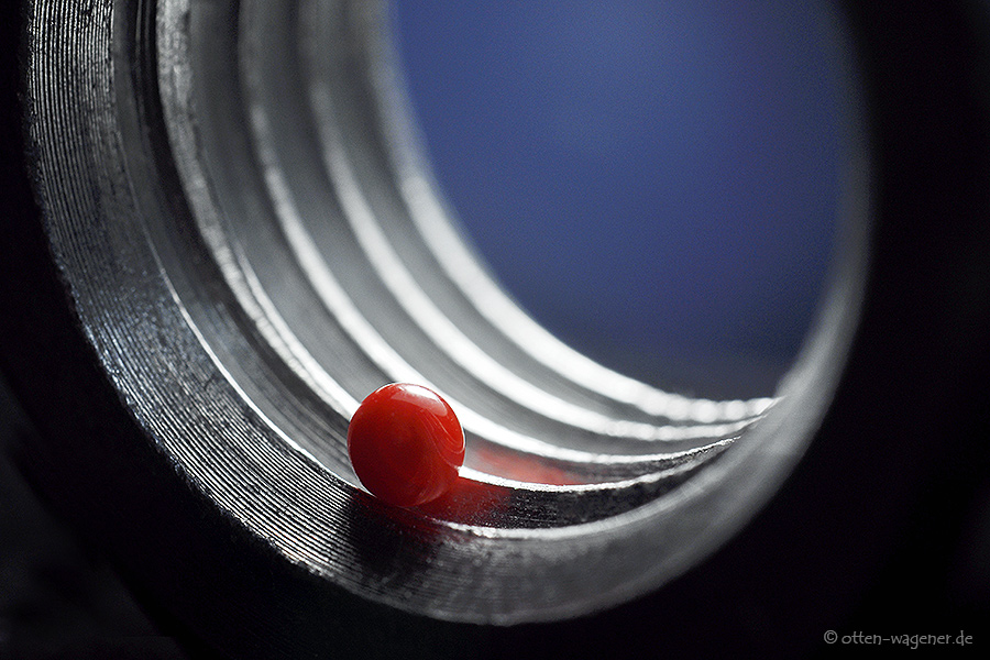 Leben in wachsenden Ringen, frei nach Rilke